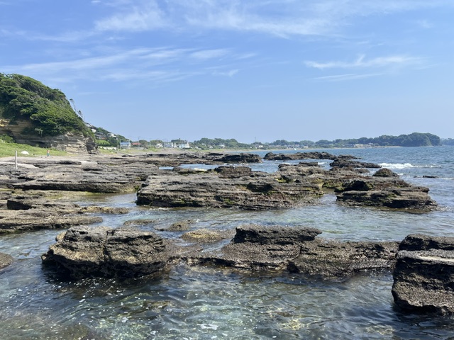 image1